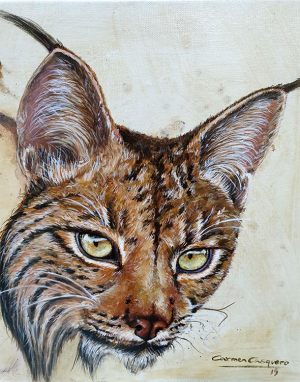 LYNCAS - Técnica mixta sobre lienzo - 45cm x 45cm
