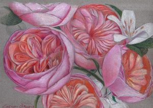 PEONÍAS - Papel lápiz color - 30x21cm