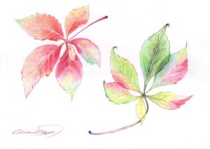 OTOÑO - Papel lápiz color - 30x21cm