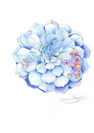 SIMETRÍA - Papel lápiz color - 21x30cm