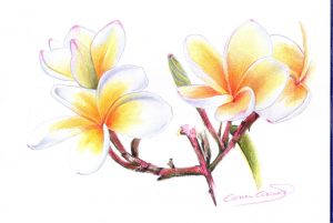 EN EL ARBOL - Papel lápiz color - 30x21cm
