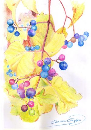 SEMILLAS - Papel lápiz color - 21x30cm