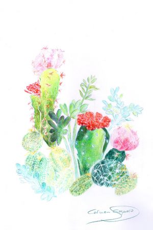 CACTUS - Papel lápices color - 21x30cm