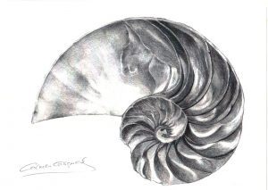 CONCAVA - Papel lápiz - 30x21cm