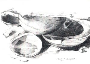 CONCHAS - Papel lápiz - 40x30cm