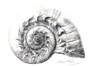 EXÓTICA - Papel lápiz 30x21cm