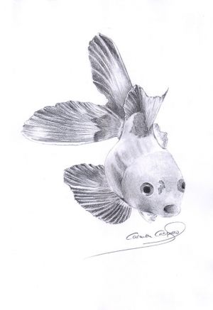 PLATA - Papel lápiz - 21x30cm