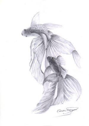 EXÓTICOS - Papel lápiz - 21x30cm
