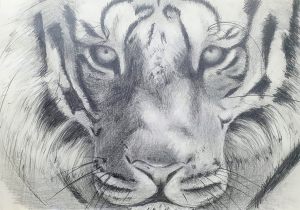 FUERZA - Grabado - Técnica Aguafuerte - 40x30cm