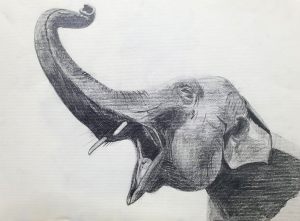 GRUÑIDO - Papel lápiz - 32x23cm