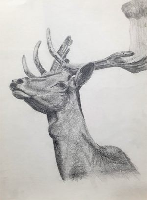 CIERVO - Papel lápiz - 23x32cm