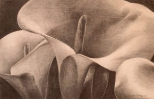 CALAS - Papel lápiz - 52x33cm